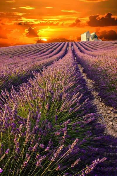 Provence günbatımı — Stok fotoğraf