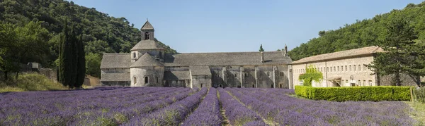 Abbaye de Senanque — Photo