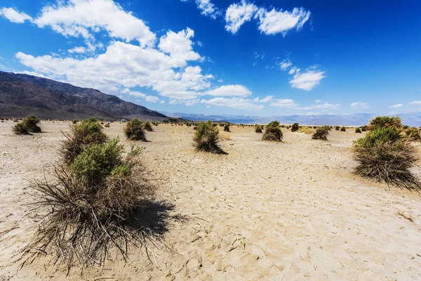 Devil's Garden — Stock Photo, Image