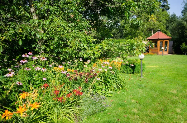 Jardín con rosas — Foto de Stock