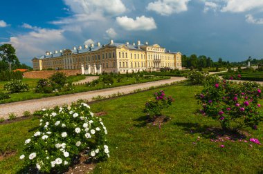 rundalerollen, broodjes geïsoleerd