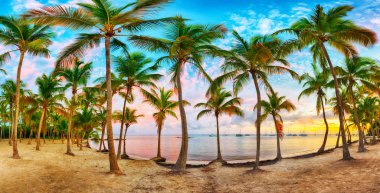 Anse Chamapgne beach of Guadeloupe clipart