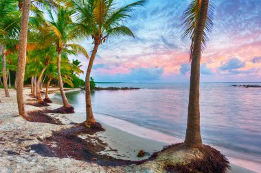 Anse Chamapgne