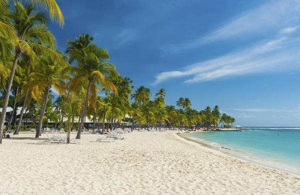 Caravelle beach in Guadeloupe — Stock Photo, Image