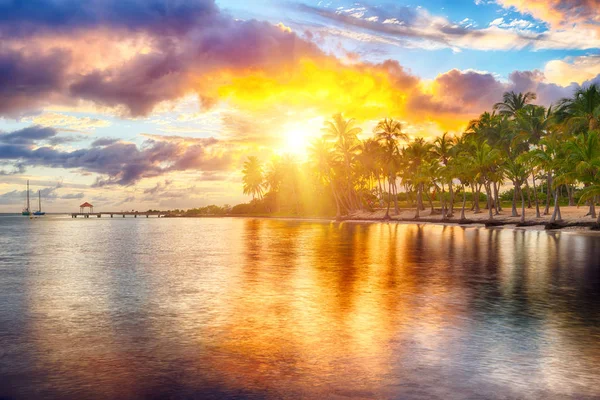 Anse Chamapgne — Foto de Stock