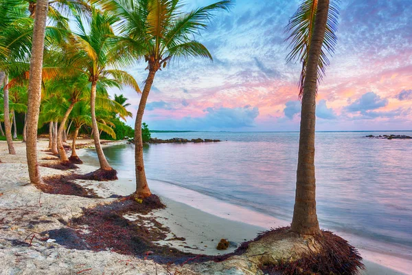 Anse Chamapgne — Fotografia de Stock