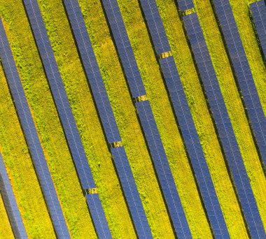 Yenilenebilir enerji sembolü olarak güneş panelleri