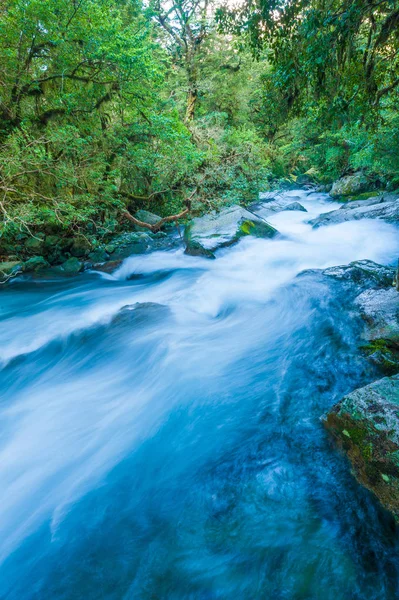 Marian Creek v Fiordlandu na Novém Zélandu — Stock fotografie