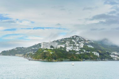 Wellington Yeni Zelanda 'nın başkentidir.