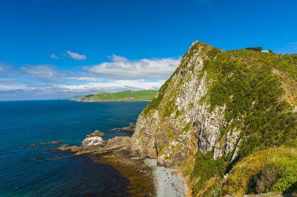 Scogliere a Nugget Point in Nuova Zelanda — Foto Stock