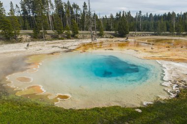 Jeotermal havuzu Yellowstone Milli Parkı'nda