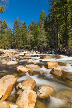 Yosemite Ulusal Parkı 'ndaki Vahşi Merced Nehri