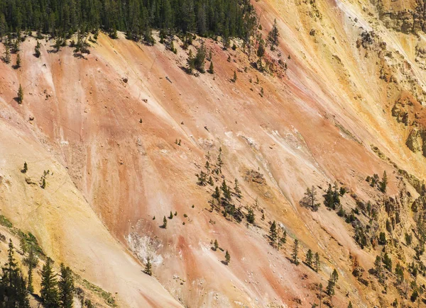 Grand Canyon de Yellowstone — Photo