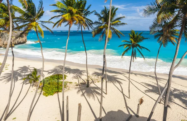 Bottom Bay Een Van Mooiste Stranden Het Caribische Eiland Barbados — Stockfoto
