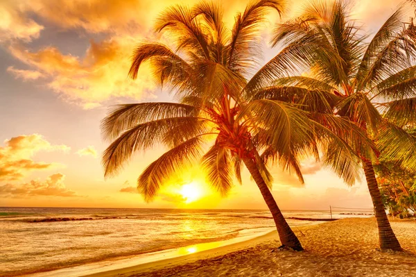 Piękny Zachód Słońca Nad Morzem Widokiem Palmy Kokosowe Białej Plaży — Zdjęcie stockowe