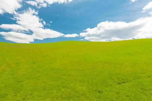 Campo Primavera Verde Fresco Nova Zelândia Com Céu Azul — Fotografia de Stock