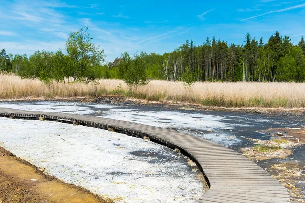 Soos Est Une Zone Conservation Post Volcanique Dans Nord République — Photo