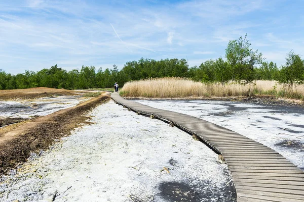 Soos Est Une Zone Conservation Post Volcanique Dans Nord République — Photo