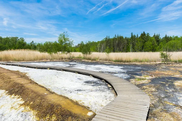 Soos Post Volcanic Conservation Area North Czech Republic Frantiskovy Lazne Royalty Free Stock Images