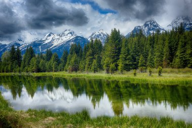 Schwabacher 'a inen dağların yansıması, Grand Teton Ulusal Parkı. Wyoming, ABD 