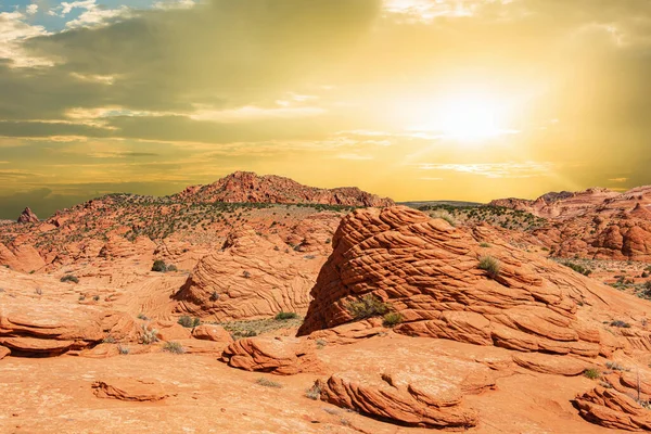 Coyote Buttes North 'ta canlı kumtaşı oluşumu. Bu oluşumlar Kanab, Utah ve Page, Arizona şehirleri arasındaki Paria Canyon-Vermilion Cliffs Wilderness 'de görülebilir. ABD. Panorama