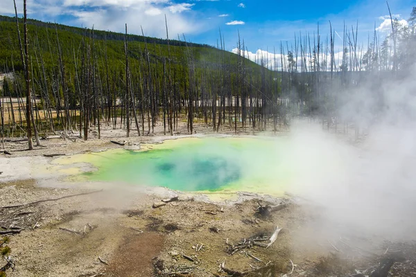 Deatiled Fénykép Termálfürdő Halott Fák Mögötte Yellowstone Nemzeti Park Wyoming — Stock Fotó