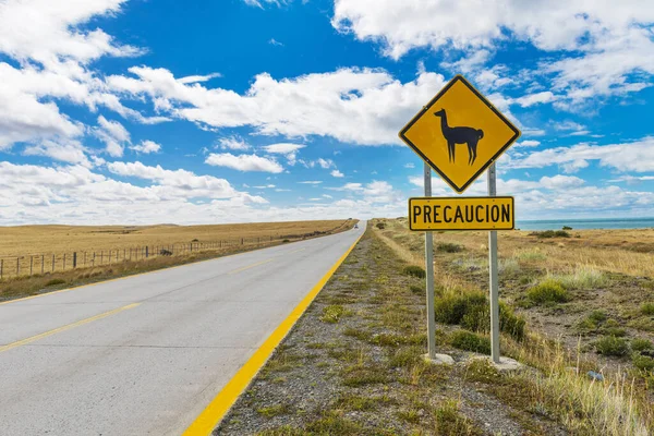 Pozor Nápis Lamas Poblíž Chilské Silnice Chile Patagonie Jižní Amerika — Stock fotografie
