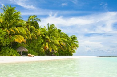 Maldivler 'in güzel tropikal cenneti. Beyaz plajlar ve turkuaz denizler üzerinde kakao palmiyeleri asılı.