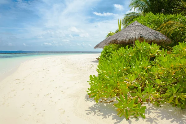 Prachtig Tropisch Paradijs Malediven Met Kokospalmen Hangend Boven Het Witte — Stockfoto