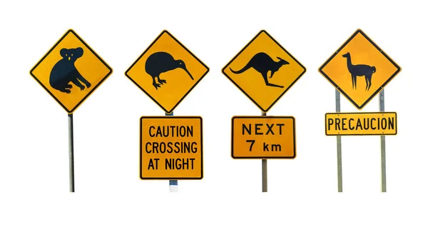 Set Animal Road Warning Signs Isolated White Background Lama Sign — Stock Photo, Image