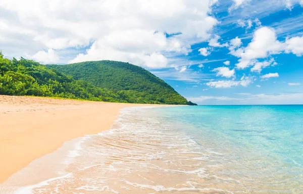 Kokosové Palmy Perleťové Pláži Poblíž Vesnice Deshaies Guadeloupe Karibik — Stock fotografie