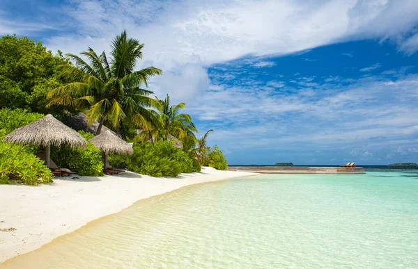 Vackert Tropiskt Paradis Maldiverna Med Kokospalmer Hängande Över Den Vita — Stockfoto