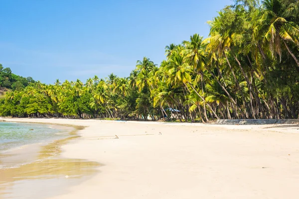 Prachtig Strand Van Ngapal Met Palmen Hangend Boven Zee Myanmar — Stockfoto