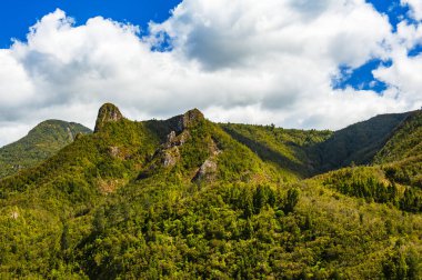 Coromandel Parkı 'ndaki Coromandel Pinnacles. Coromandel Yarımadası, Yeni Zelanda.