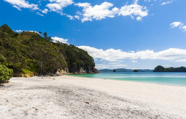 Fénykép Egy Gyönyörű Fehér Homok Hahei Strand Cathedral Cove Marine — Stock Fotó