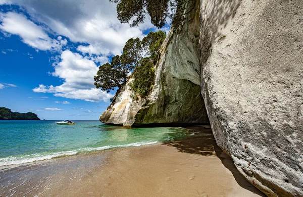 Slavná Jeskyně Cathedral Cove Marine Reserve Coromandel Peninsula Nový Zéland — Stock fotografie