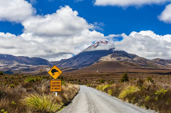 Kiwi Signo Cerca Carretera Que Conduce Famoso Volcán Ngauruhoe Parque — Foto de Stock