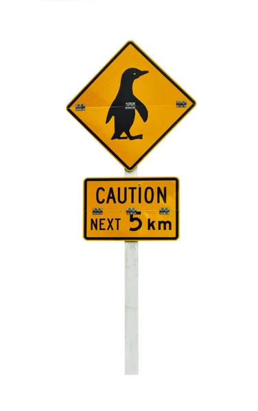 Signo Neozelandés Pájaro Pingüino Cruzando Carretera Aislado Blanco —  Fotos de Stock