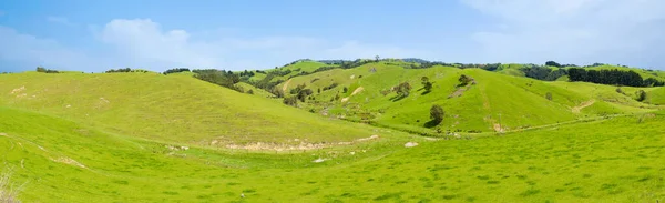 Gemensam Syn Nya Zeeland Kullar Som Täcks Grönt Gräs Panoramabild — Stockfoto