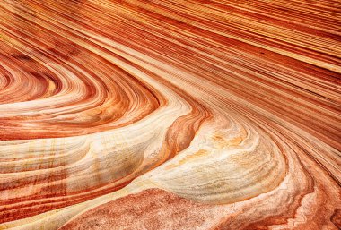 Taşlaşmış kum tepeciğinin ayrıntılı doğal arka planı. Dalga, Coyote Buttes North 'ta muhteşem bir girdap halinde antik bir kumtaşı formasyonu. Arizona, ABD