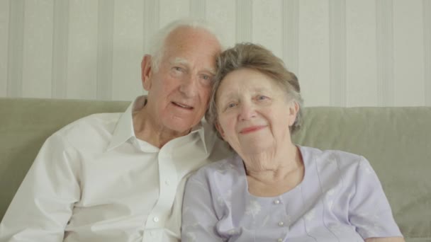 Retrato Una Feliz Pareja Ancianos Mirando Cámara Sala Estar — Vídeo de stock