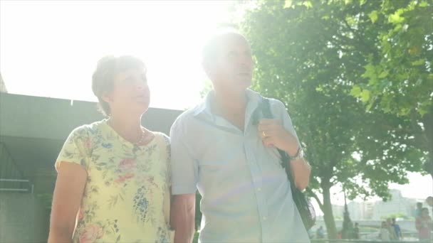 Ralenti Caméra Constante Vue Couple Touristes Caucasiens Âgés Actifs Marchant — Video