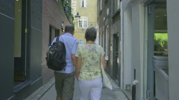 Actieve Senior Kaukasische Toeristische Paar Wandelen Door Alley Kaart Kijken — Stockvideo