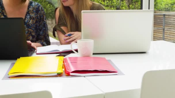 Donne Affari Caucasiche Successo Che Lavorano Computer Portatili Casa — Video Stock