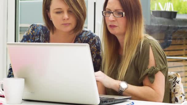 Başarılı Beyaz Evden Dizüstü Bilgisayarlarda Çalışan Kadınları — Stok video