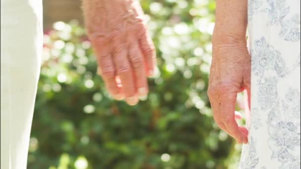 Low Angle View Affectionate Senior Caucasian Couple Holding Hands Garden — Stock Video