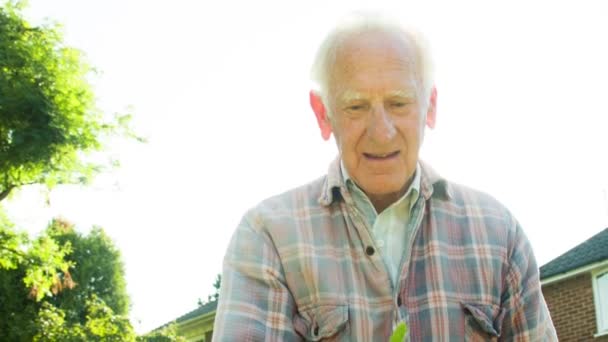アクティブなバックライトの肖像退職シニア白人男性庭師 — ストック動画