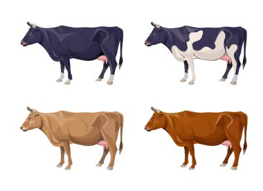 Different cows colors set clipart