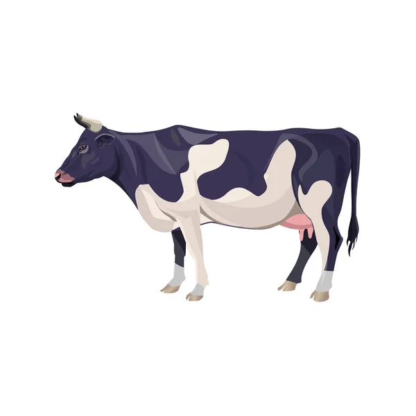 Vache Mouchetée Noire Blanche Illustration Vectorielle Isolée Sur Fond Blanc — Image vectorielle