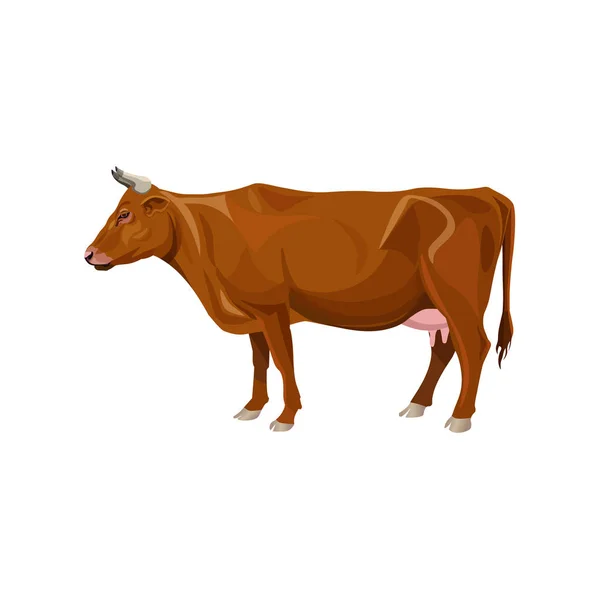 Braune Kuh Stehend Seitenansicht Vektor Illustration Isoliert Auf Weißem Hintergrund — Stockvektor